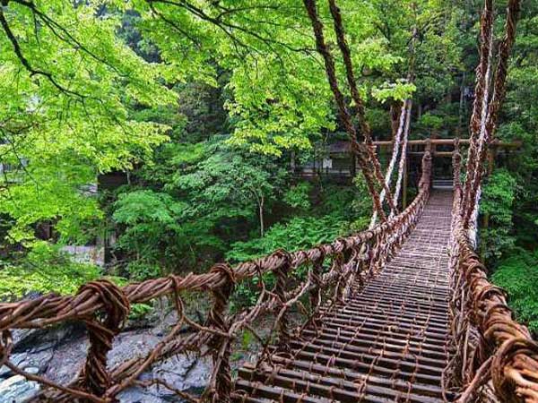 پل ایا کازوراباشی (Iya Kazurabashi Bridge) در ژاپن