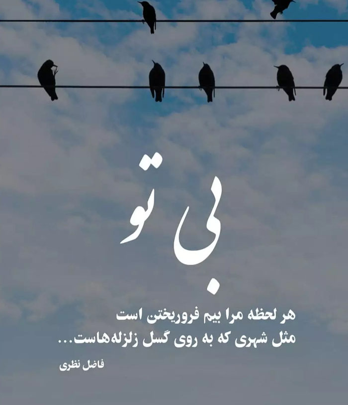 اشعار فاضل نظری