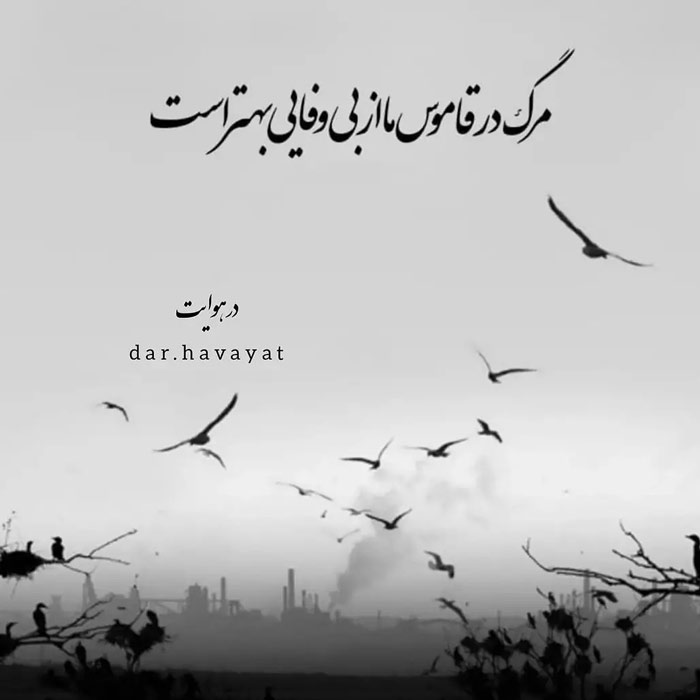 اشعار فاضل نظری