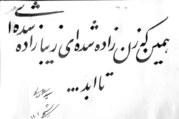 شعرهای عاشقانه سید علی صالحی