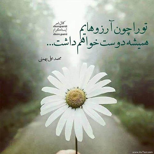 اشعار عاشقانه محمد علی بهمنی