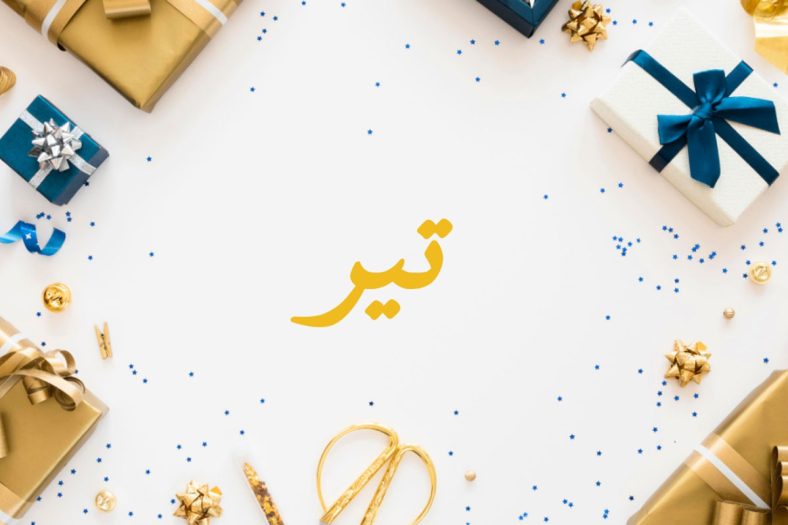 شعر در مورد تیر ماهی ها