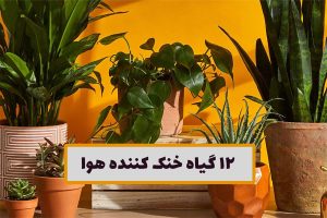 گیاهان خنک کننده هوا