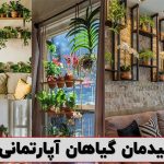 چیدمان گیاهان آپارتمانی