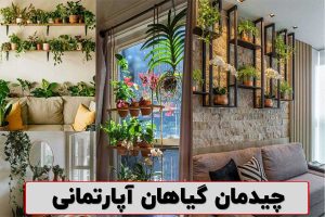 چیدمان گیاهان آپارتمانی