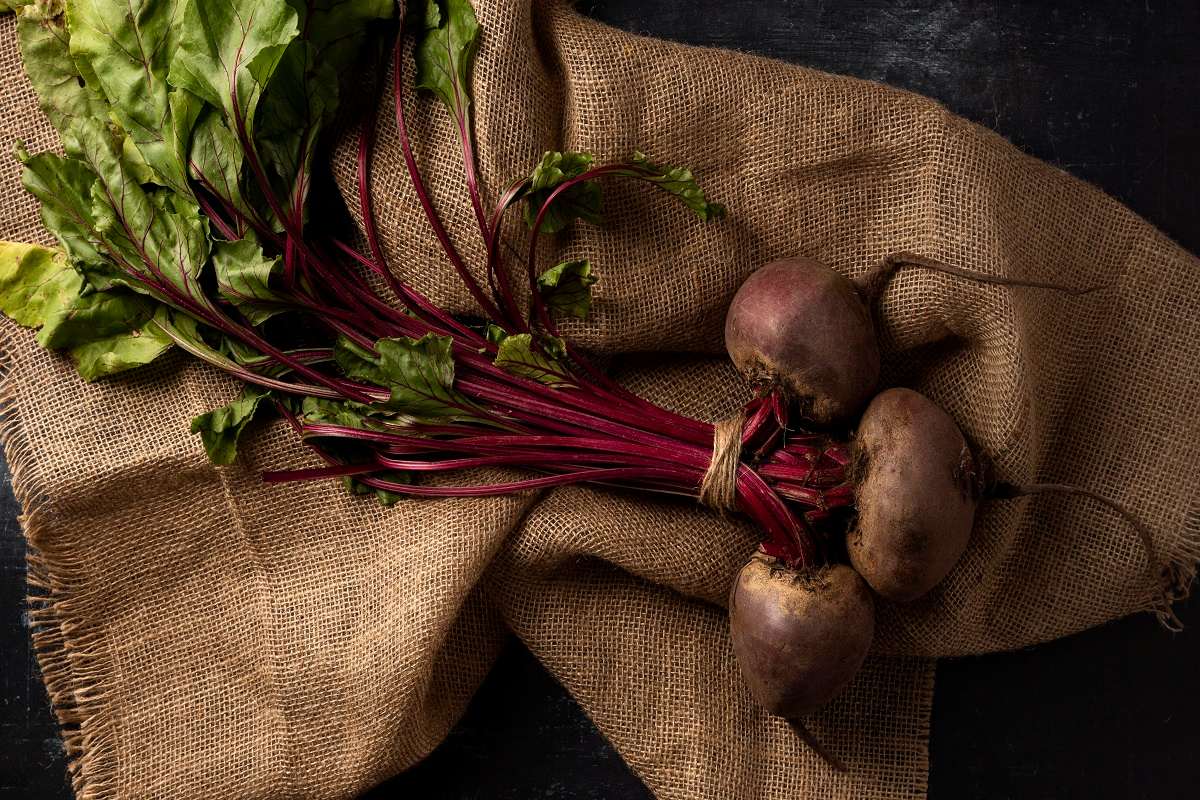 چطوری چغندر رو نگهداریم که زود خراب نشه؟