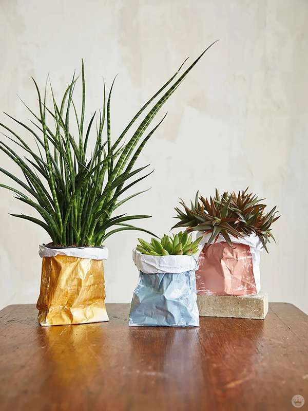 گلدان های کاغذی برای گیاهان آپارتمانی