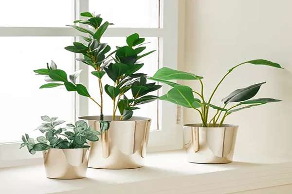 گلدان های فلزی برای گیاهان آپارتمانی