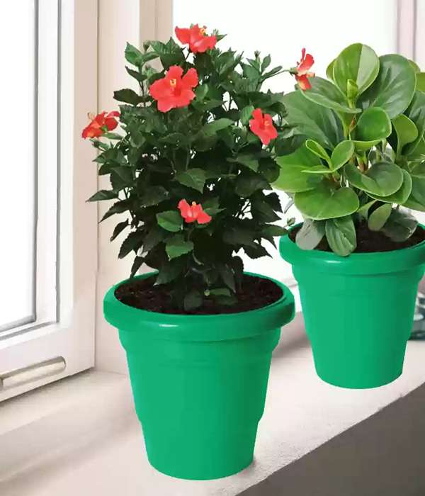 گلدان پلاستیکی برای گیاهان آپارتمانی