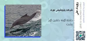 پتروشیمی نوری، حافظ گونه دلفین گوژپشت در خلیج فارس