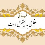 معنی ضرب المثل عقلش به چشمش است
