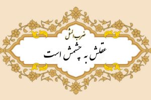 معنی ضرب المثل عقلش به چشمش است