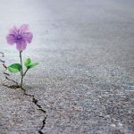 نشانه های محبت خداوند