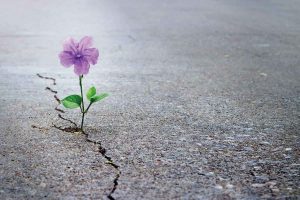 نشانه های محبت خداوند