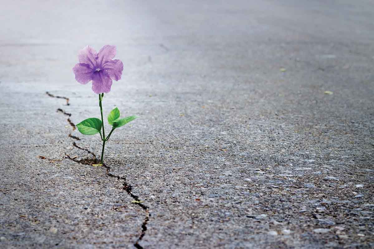نشانه های محبت خداوند