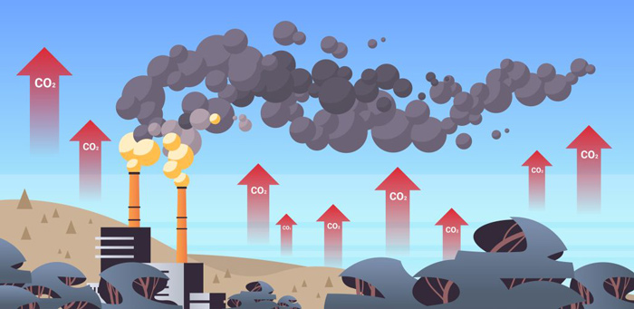 چرخه کربن چیست