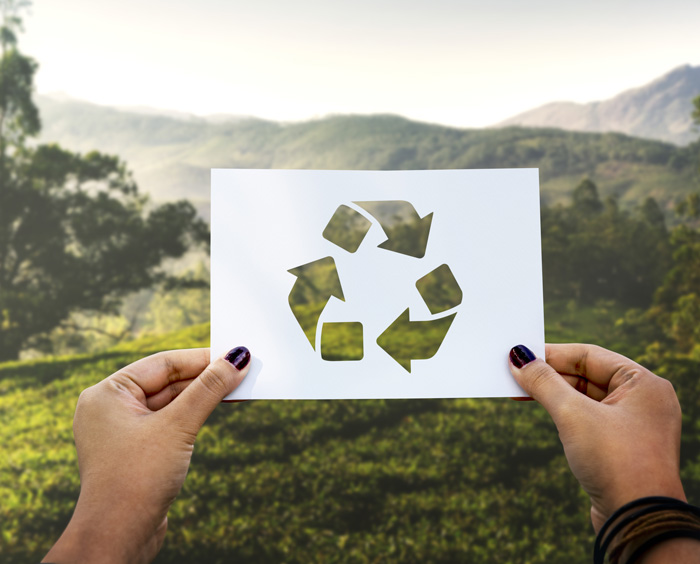 مراحل بازیافت کاغذ و فایده بازیافت کاغذ