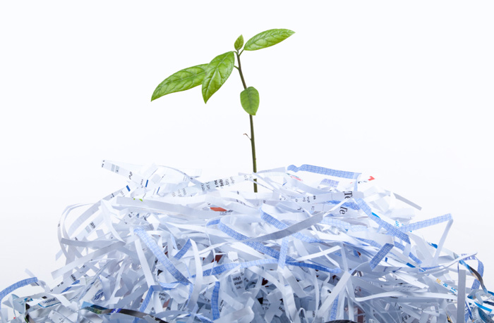 فواید بازیافت کاغذ و تاثیر آن بر حفظ منابع انرژی