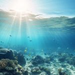 ذخایر بستر دریا