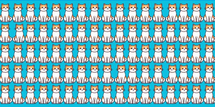 تست شناسایی گربههای متفاوت