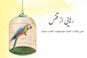 معنی درس رهایی از قفس