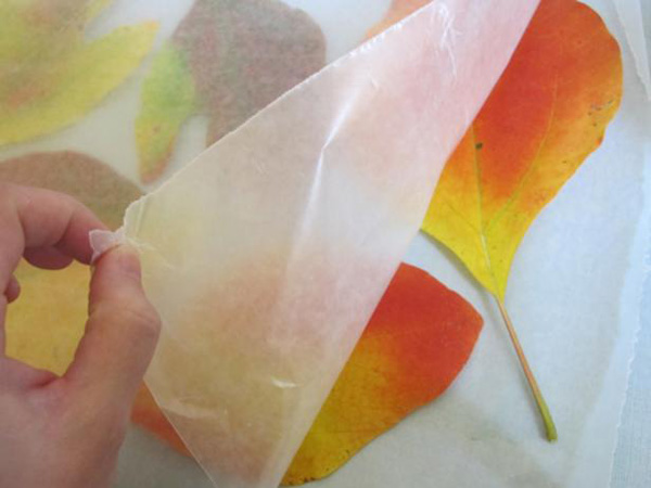 کاغذ مومی برای برگ پاییزی