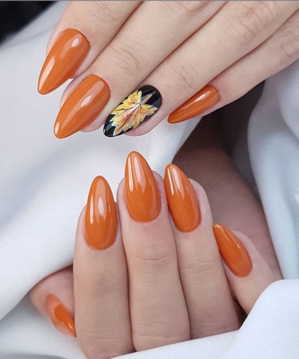 ناخن با طرح مینیمال برگ پاییزی