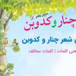 معنی شعر چنار و کدوبن