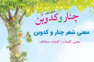 معنی شعر چنار و کدوبن