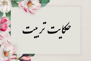 معنی شعر حکایت تربیت