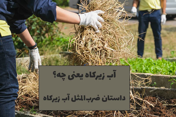 ضرب‌المثل آب زیر کاه