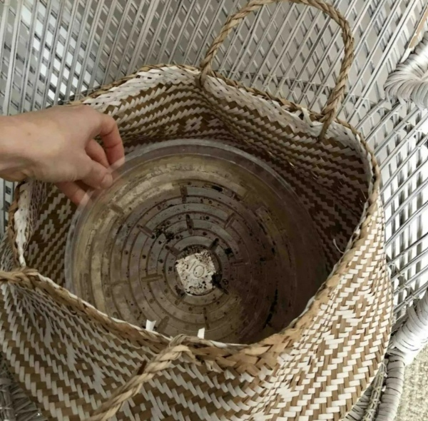 گلدانهای سبدی