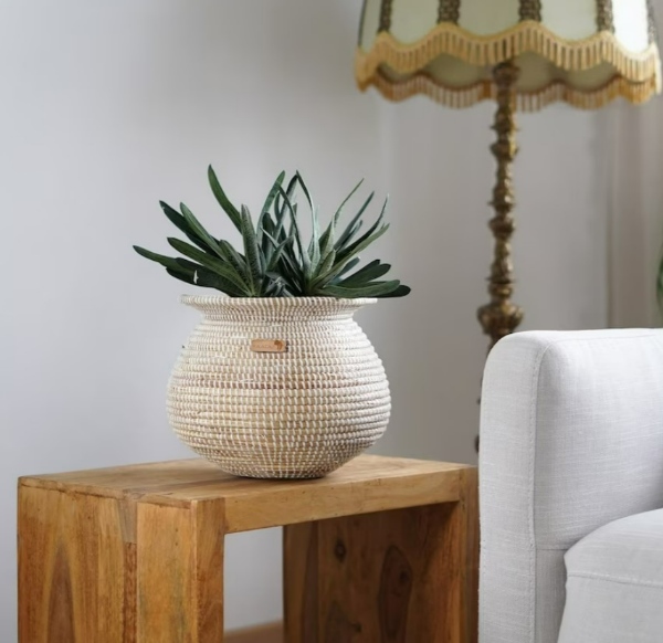 گلدانهای سبدی