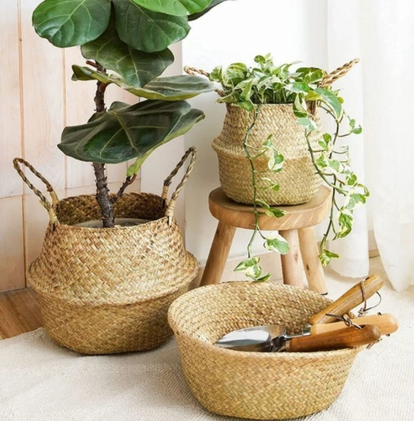 گلدانهای سبدی