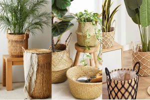 گلدان حصیری