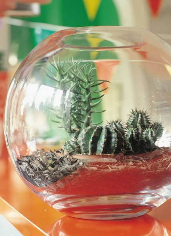 گیاهان برای درمان افسردگی