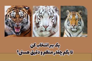 تست شخصیت ببر