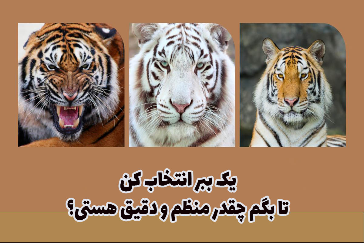 تست شخصیت ببر