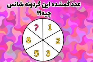 عدد گمشده گردونه