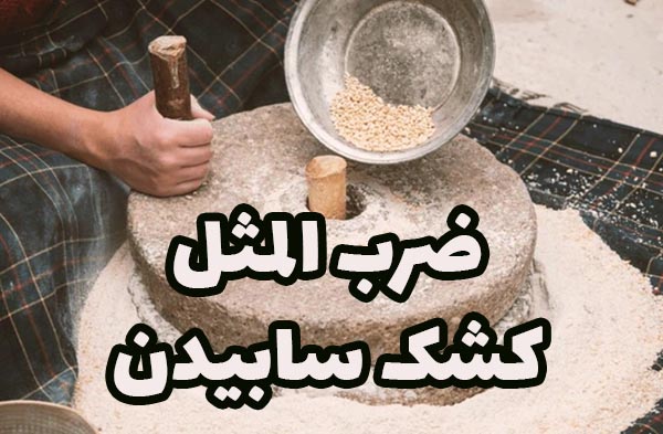 داستان ضرب المثل برو کشکتو بساب