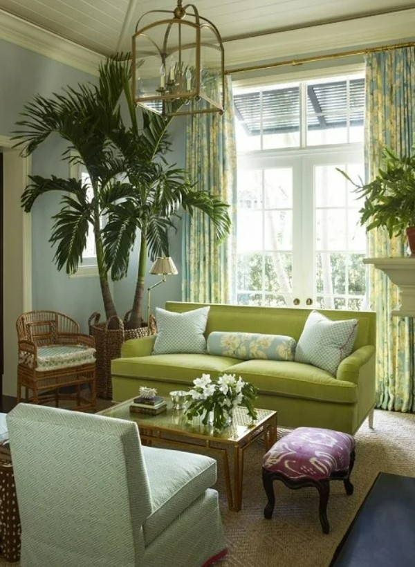 گیاهان اتاق نشیمن