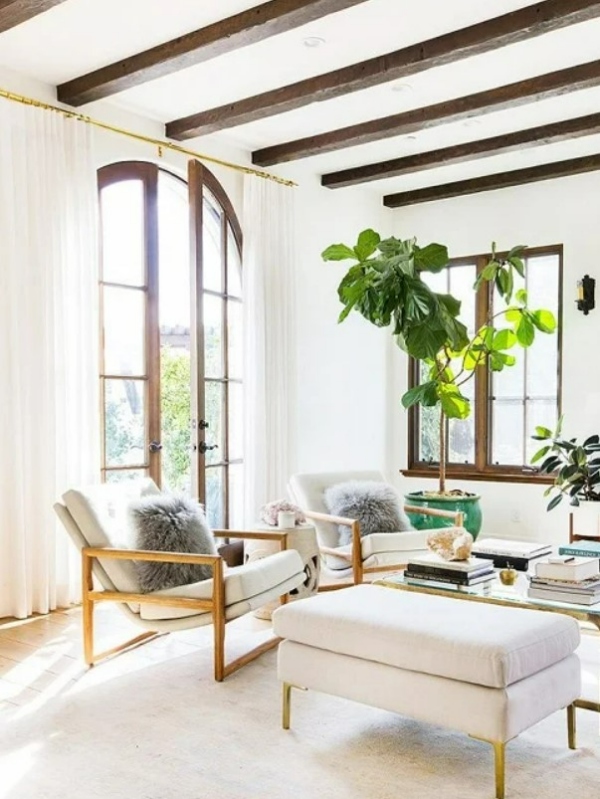 گیاهان اتاق نشیمن