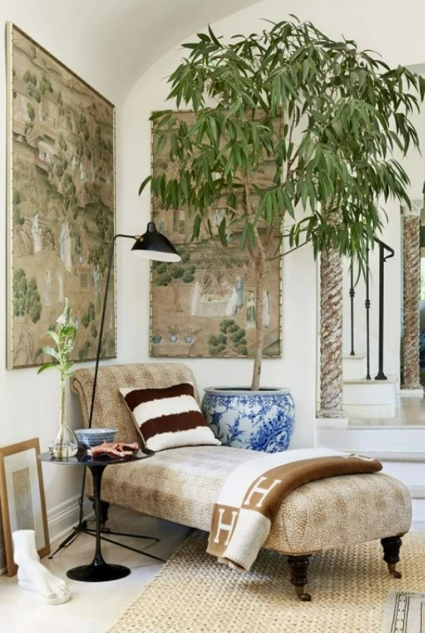 گیاهان اتاق نشیمن