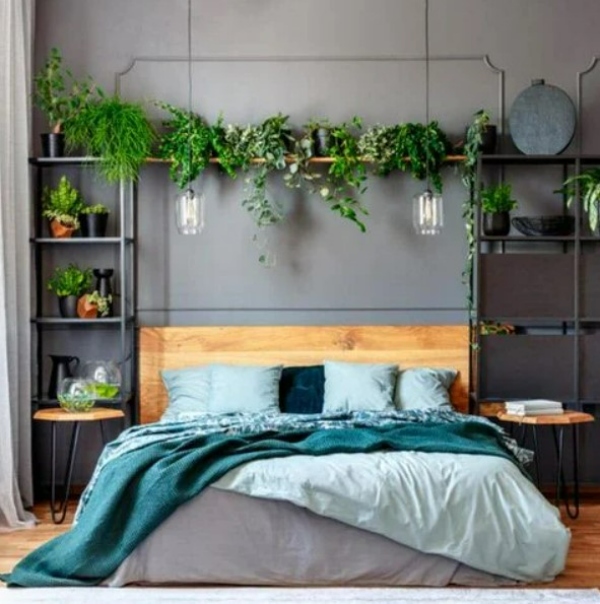 گیاه بالای تختخواب