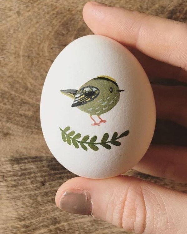 نقاشی ماژیکی گنجشک روی تخم مرغ