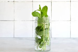 روش‌ نگهداری نعناع تازه