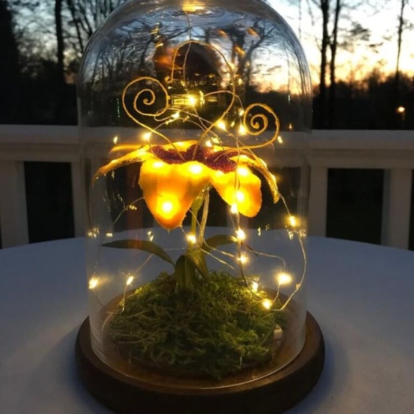 مدل چراغ خواب رمانتیک حبابی زیبا