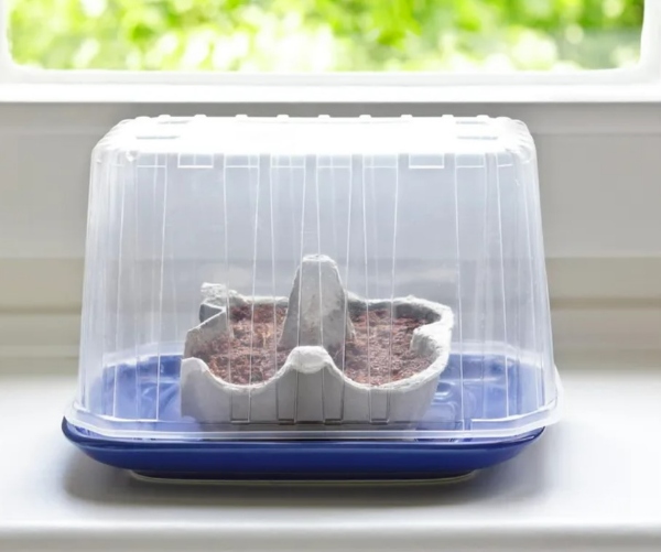 ظرف ذخیره سازی