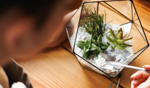 تراریوم‌ها