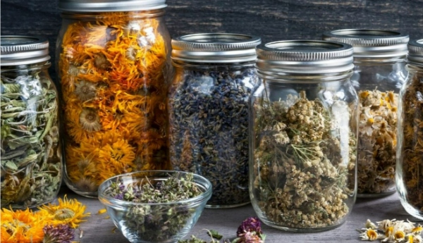ذخیره سازی گیاهان خشک برای زمان طولانی